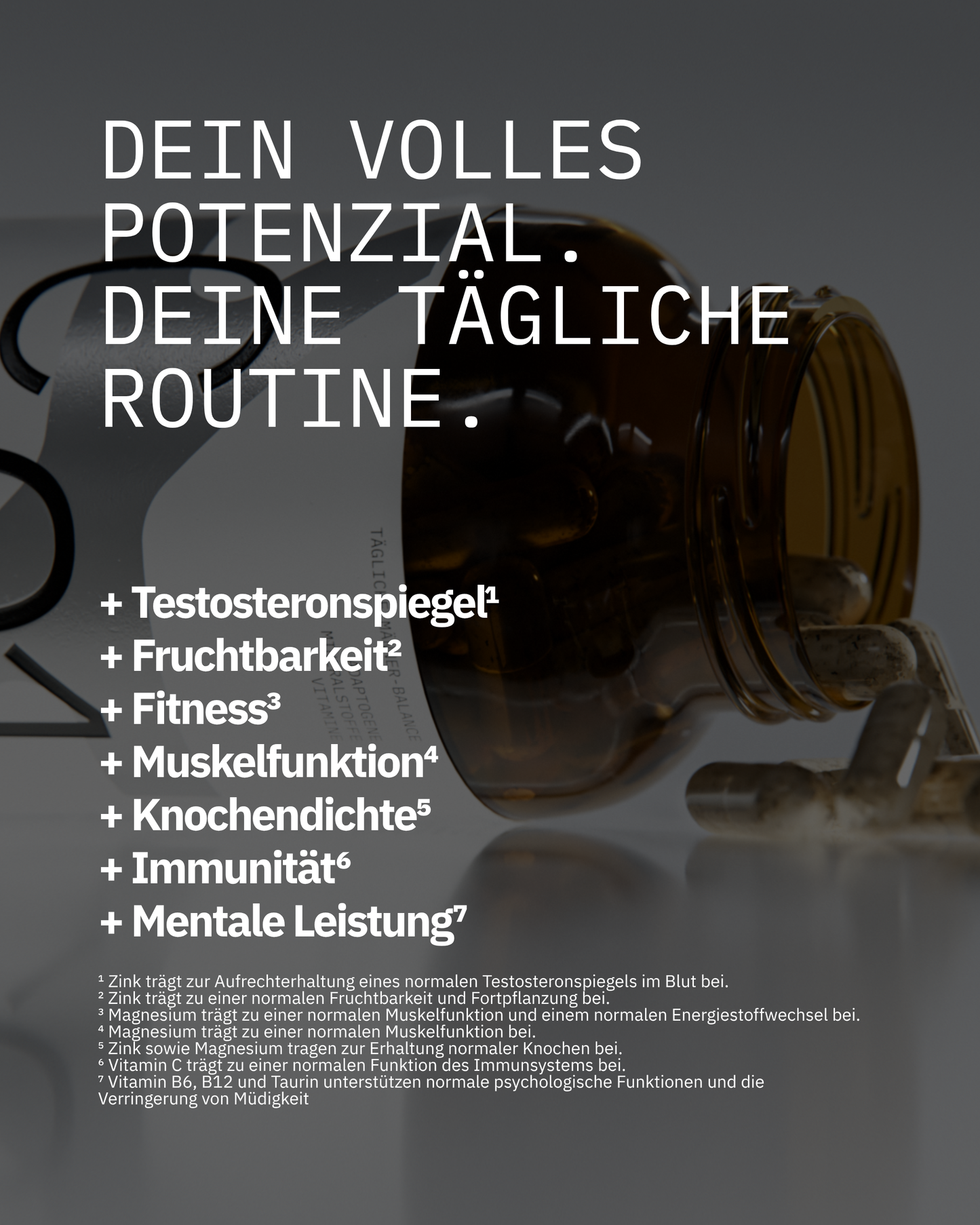 Core01 - Die All In One Testo-Support