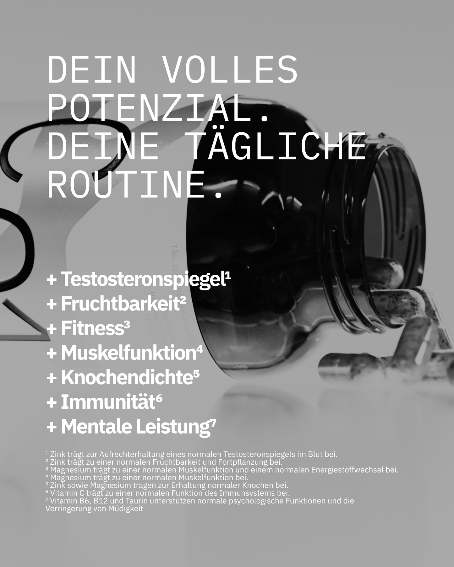 C01 - All-In-One Testo-Support