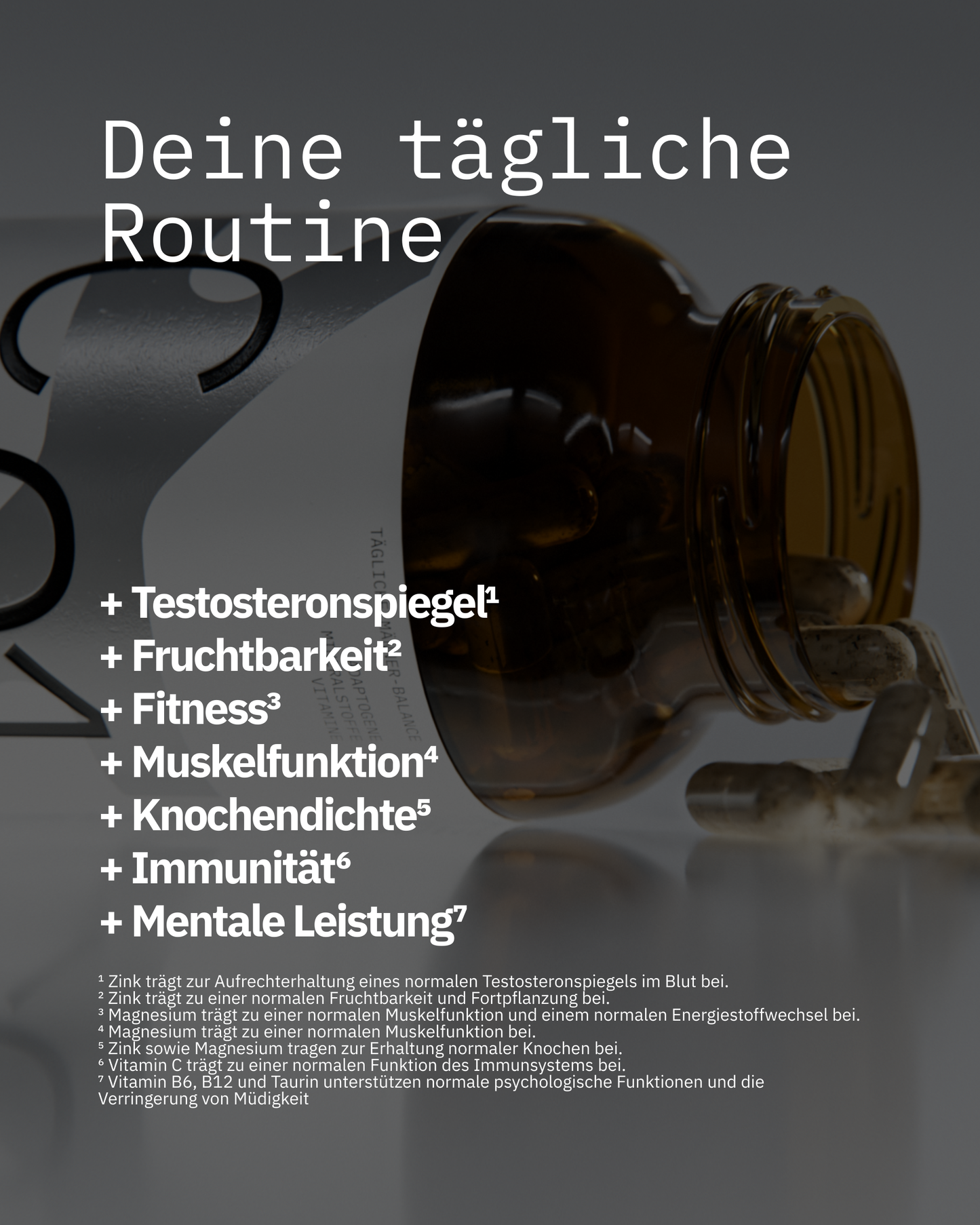 Core01 - Das T-Supplement