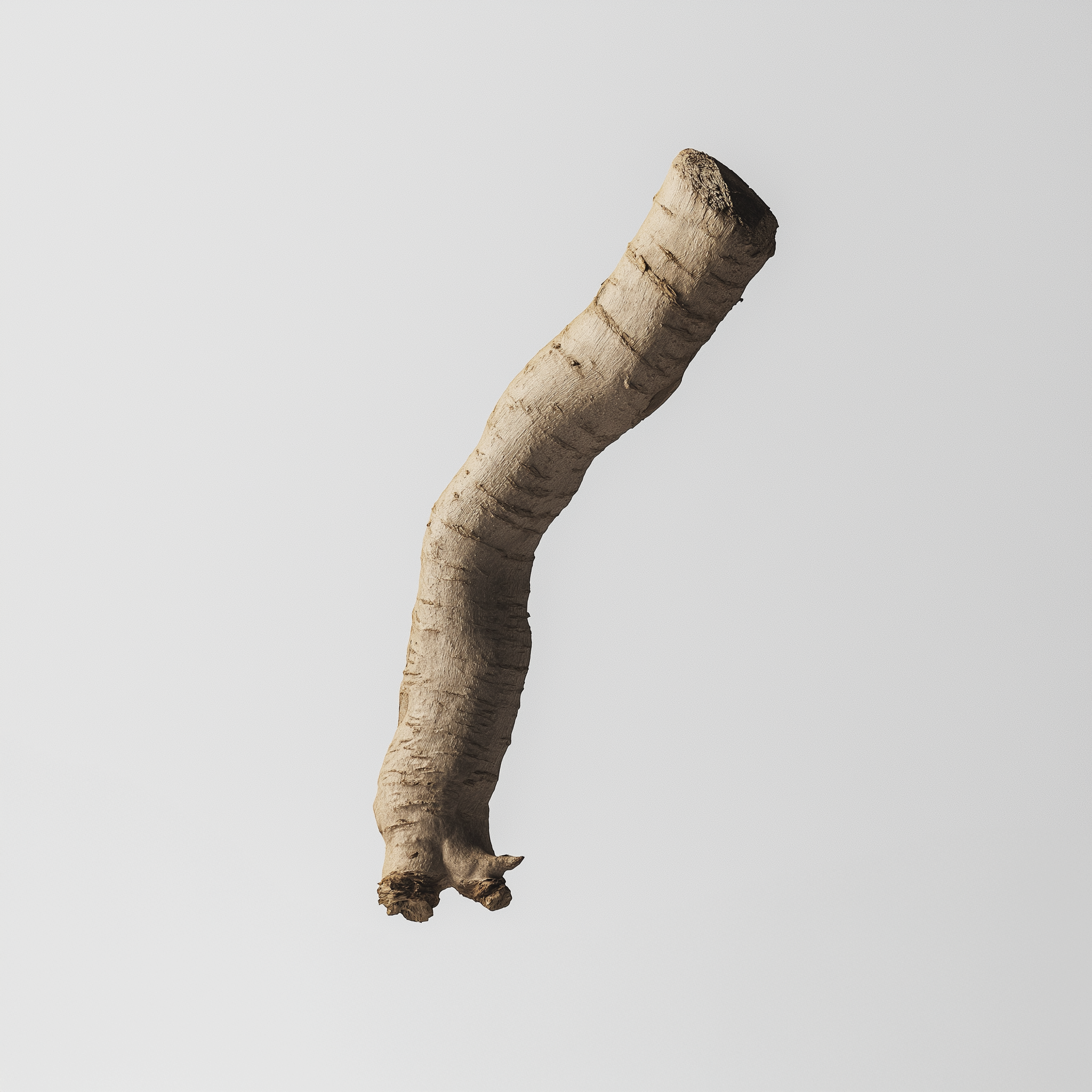 Ashwagandha-Wurzel – 500 mg hochreiner KSM-66-Extrakt für Stressreduktion und Testosteronsteigerung mit ATMON LABS.